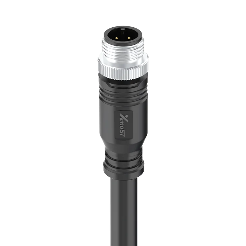 M12 Molded plug 31