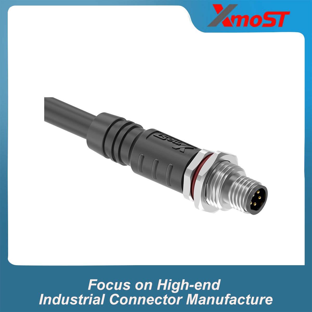 M8 B-Code 5-Pin Male Straight Molded Connector M8 B-Code 5-Pin Male Straight Molded Connector - Image 2