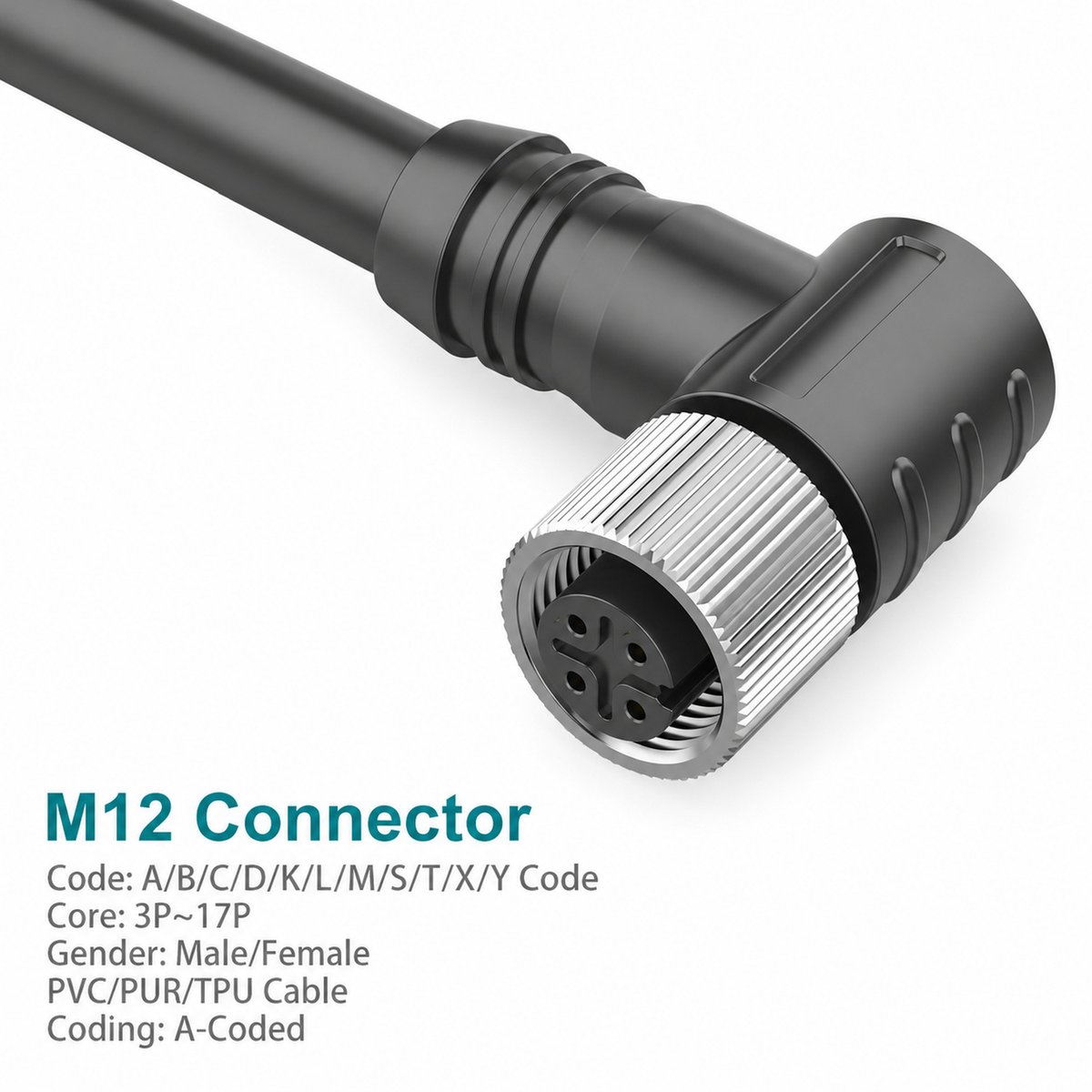 M12 A-Coded Male 90° Right-Angle Unshielded Molded Cable Connector M12 A-Coded Male 90° Right-Angle Unshielded Molded Cable Connector - Image 2