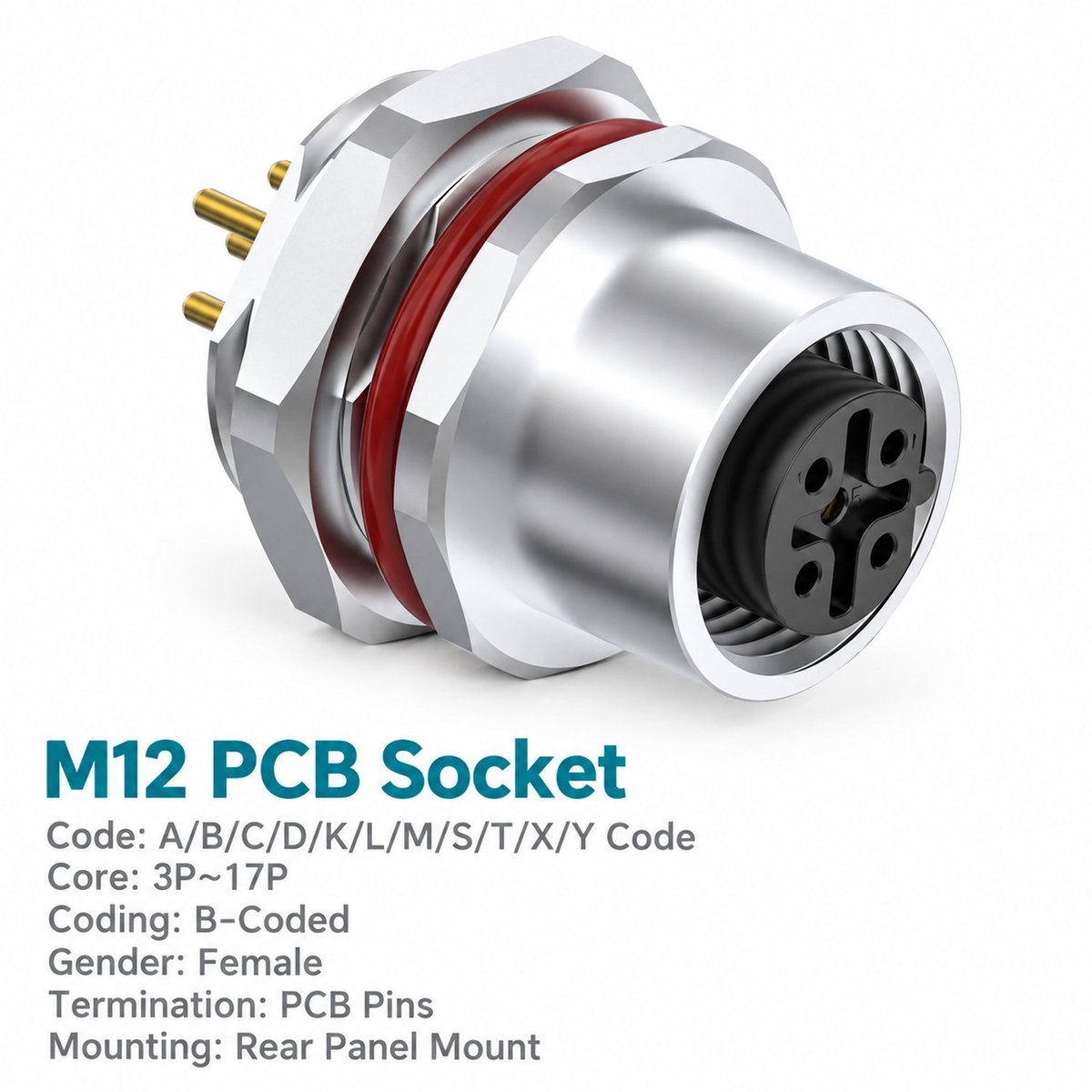 M12 B-Coded Female Rear Mount PCB Socket, 5-Pin PROFIBUS, Grounding Options M12 B-Coded Female Rear Mount PCB Socket, 5-Pin PROFIBUS, Grounding Options - Image 3