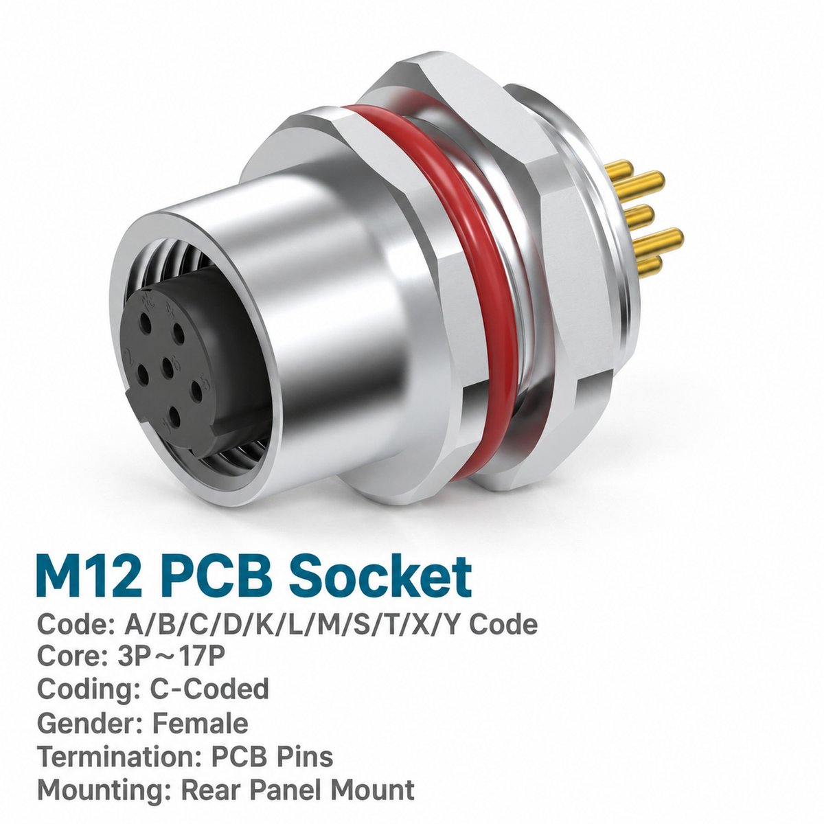 M12 C-Coded Female Rear Mount PCB Power Socket, 3–6 Pin, Shielding Options M12 C-Coded Female Rear Mount PCB Power Socket, 3–6 Pin, Shielding Options - Image 2
