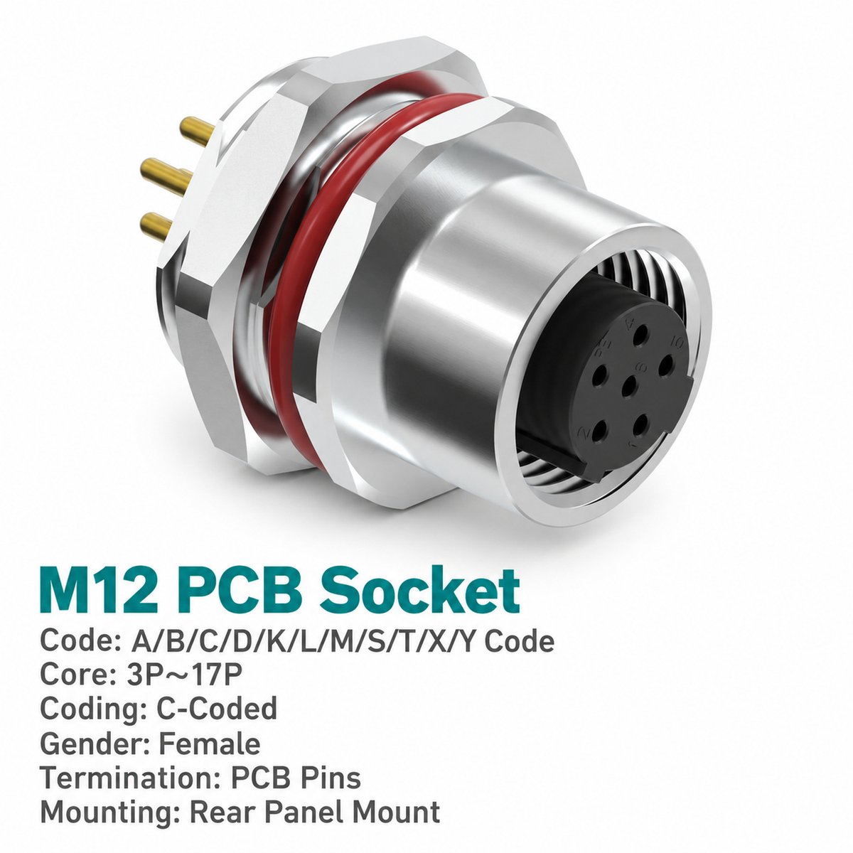 M12 C-Coded Female Rear Mount PCB Power Socket, 3–6 Pin, Shielding Options M12 C-Coded Female Rear Mount PCB Power Socket, 3–6 Pin, Shielding Options - Image 3