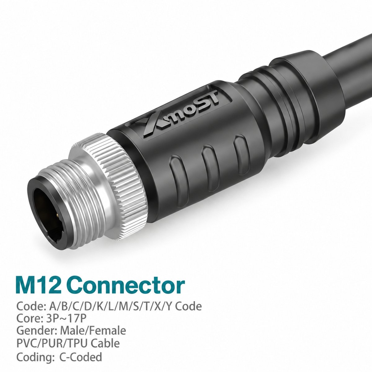 M12 C-Coded Male Molded Single-Ended Power Cable Connector, Unshielded M12 C-Coded Male Molded Single-Ended Power Cable Connector, Unshielded - Image 3