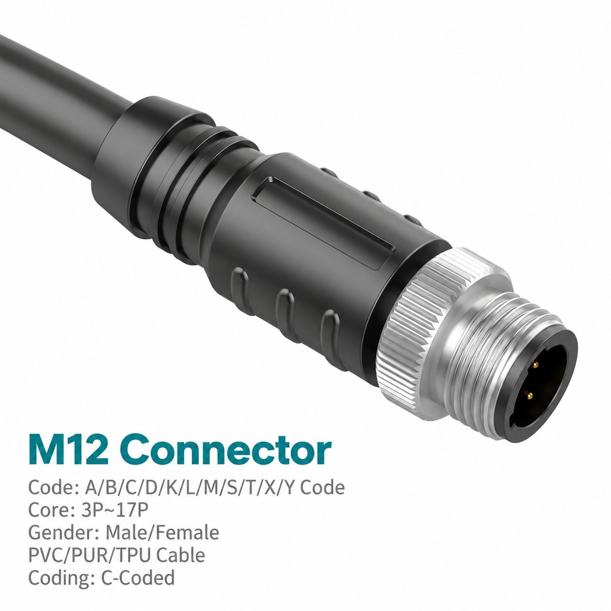 M12 C-Coded Male Molded Single-Ended Power Cable Connector, Unshielded M12 C-Coded Male Molded Single-Ended Power Cable Connector, Unshielded - Image 4
