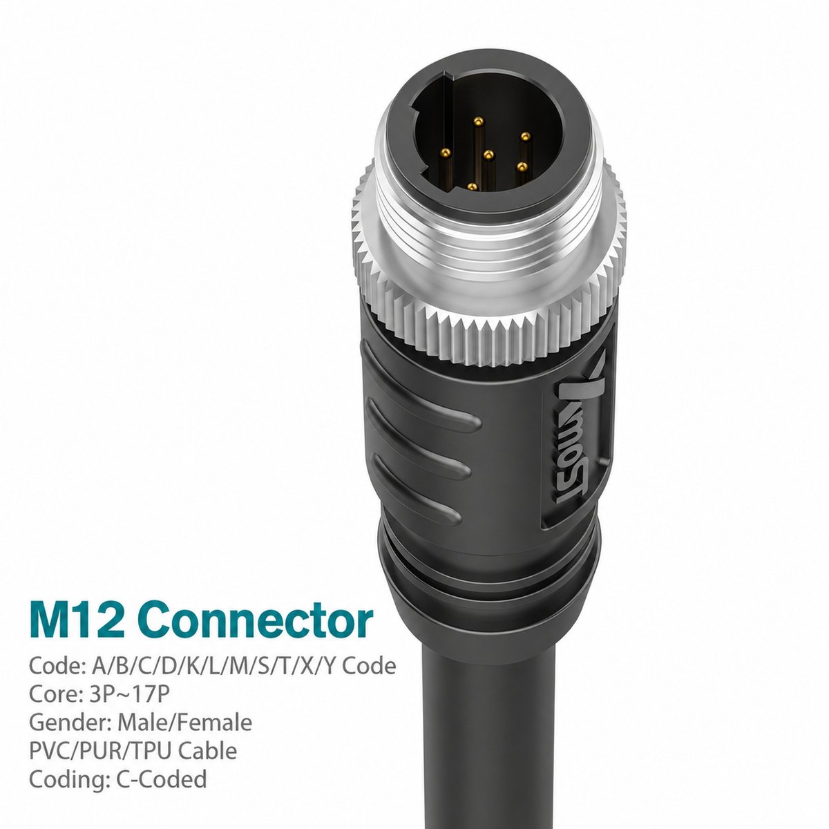 M12 C-Coded Male Molded Single-Ended Power Cable Connector, Unshielded M12 C-Coded Male Molded Single-Ended Power Cable Connector, Unshielded - Image 2