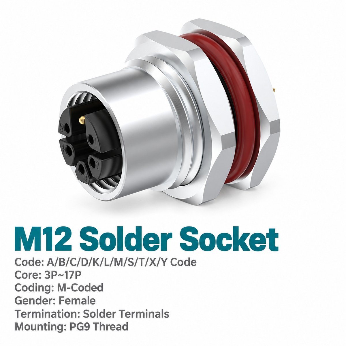 M12 M-Coded Female Front Mount AC Power Socket, Solder, Unwired or Pre-Wired M12 M-Coded Female Front Mount AC Power Socket, Solder, Unwired or Pre-Wired - Image 2