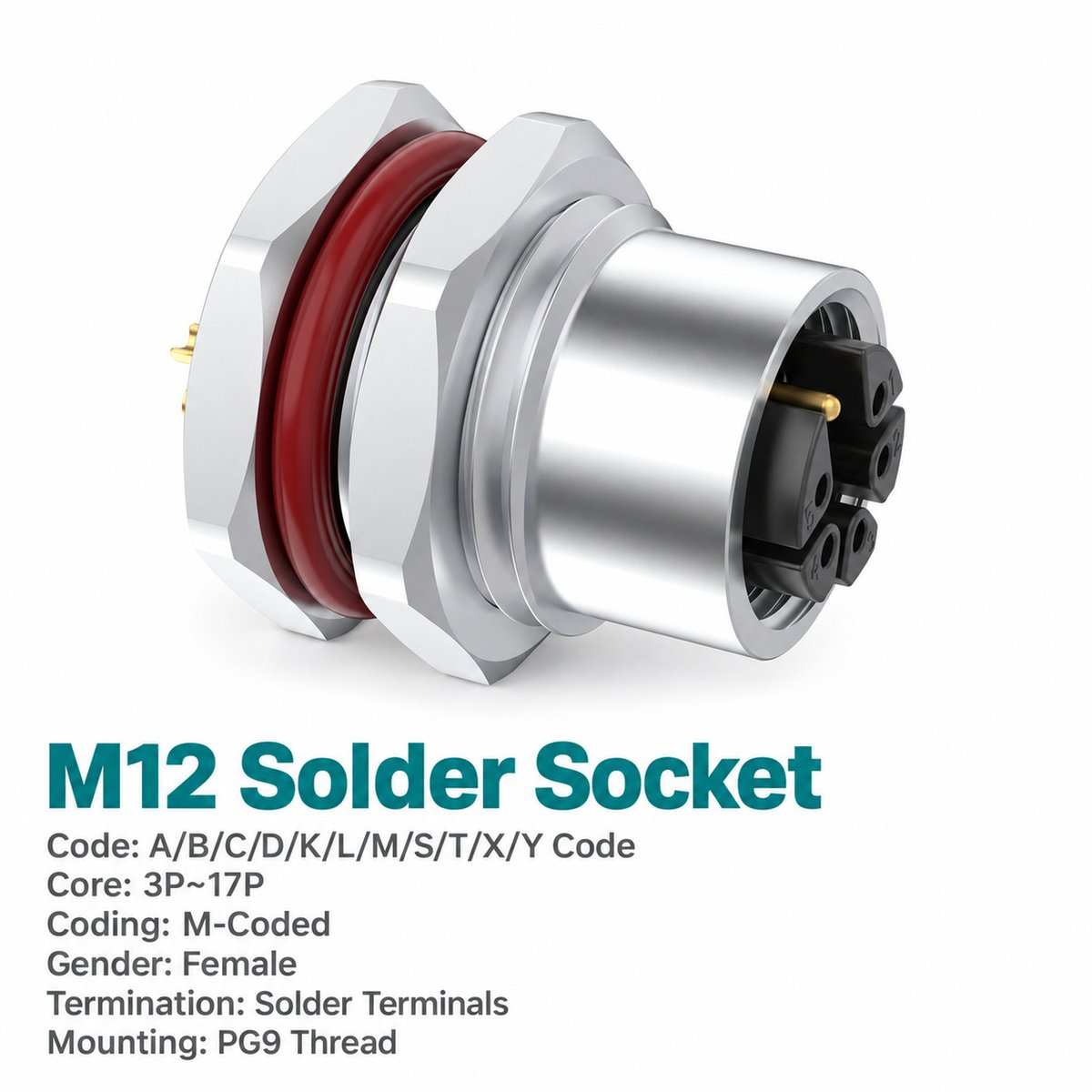 M12 M-Coded Female Front Mount AC Power Socket, Solder, Unwired or Pre-Wired M12 M-Coded Female Front Mount AC Power Socket, Solder, Unwired or Pre-Wired - Image 3