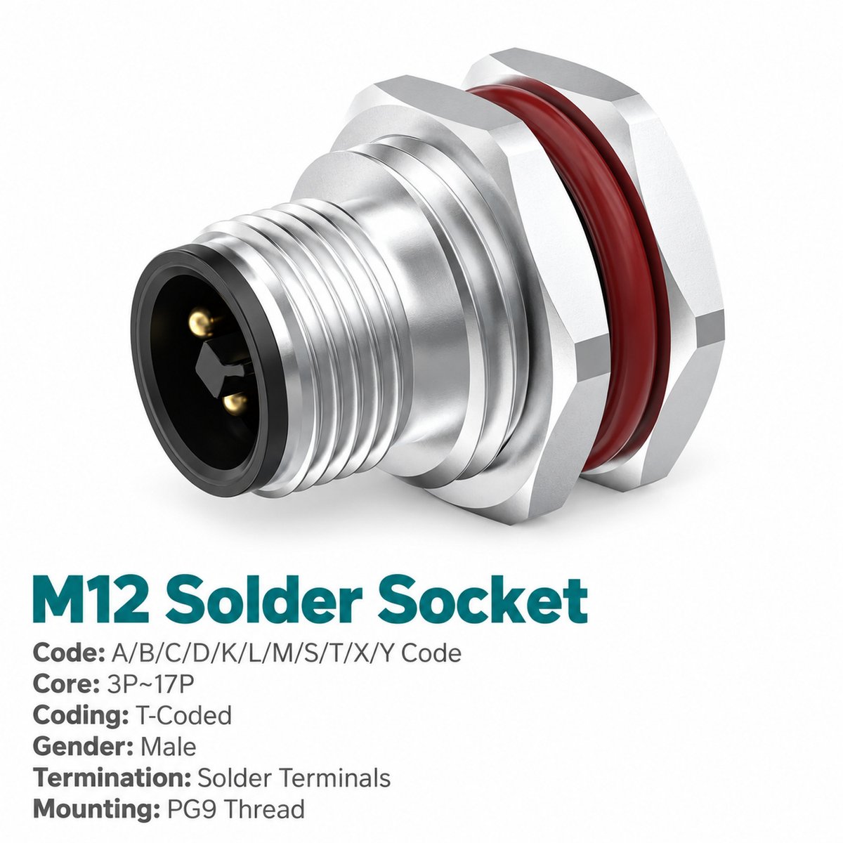 M12 T-Coded Male Front Mount DC Power Socket, Solder or Crimp M12 T-Coded Male Front Mount DC Power Socket, Solder or Crimp - Image 2