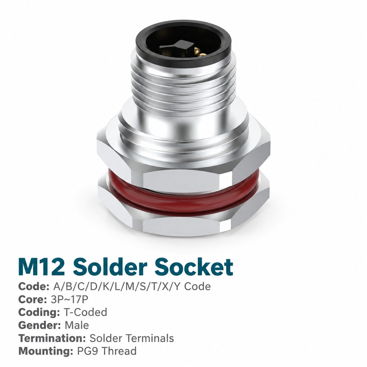 M12 T-Coded Male Front Mount DC Power Socket, Solder or Crimp M12 T-Coded Male Front Mount DC Power Socket, Solder or Crimp