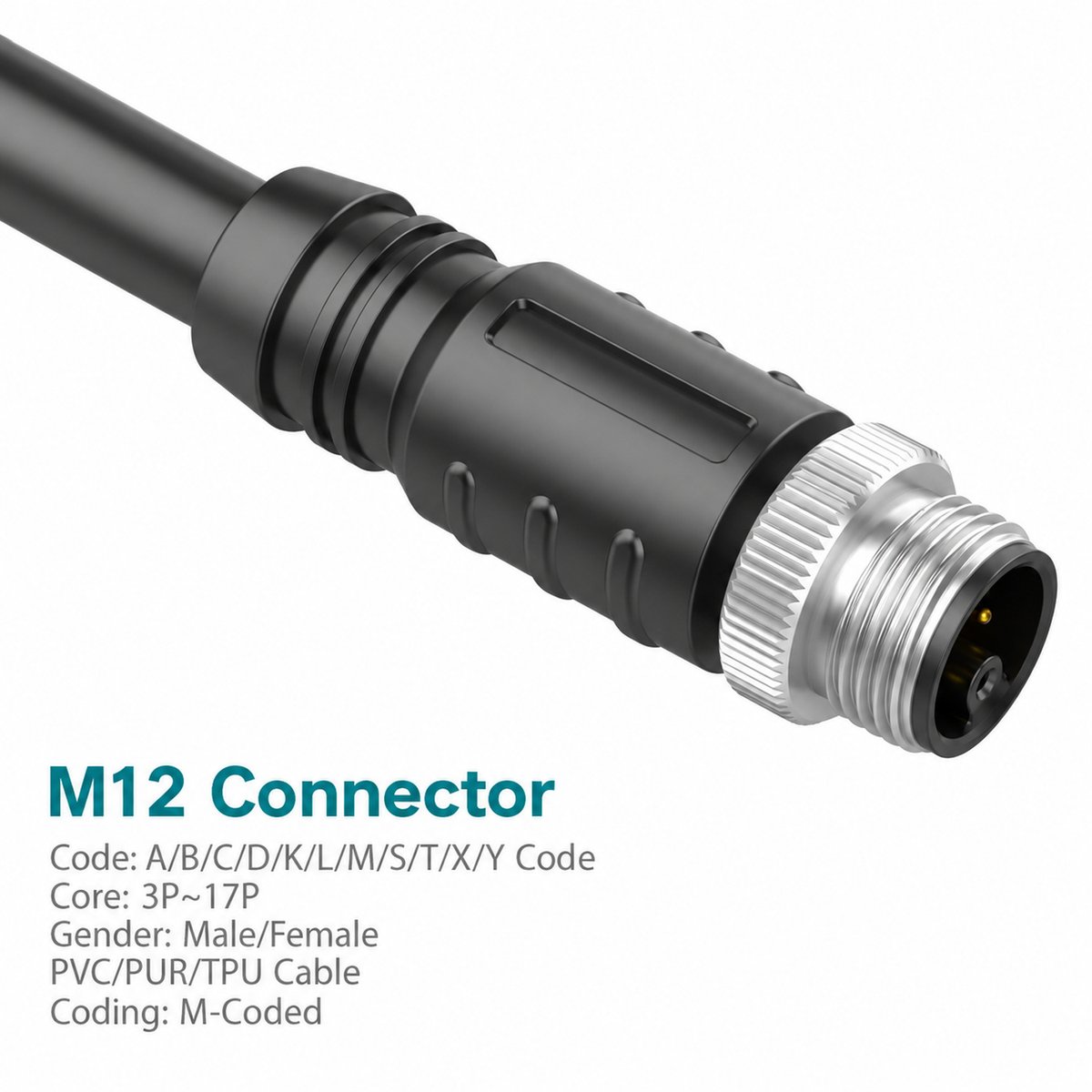 M12 M-Coded Male Straight Shielded AC Power Cable Connector M12 M-Coded Male Straight Shielded AC Power Cable Connector - Image 3