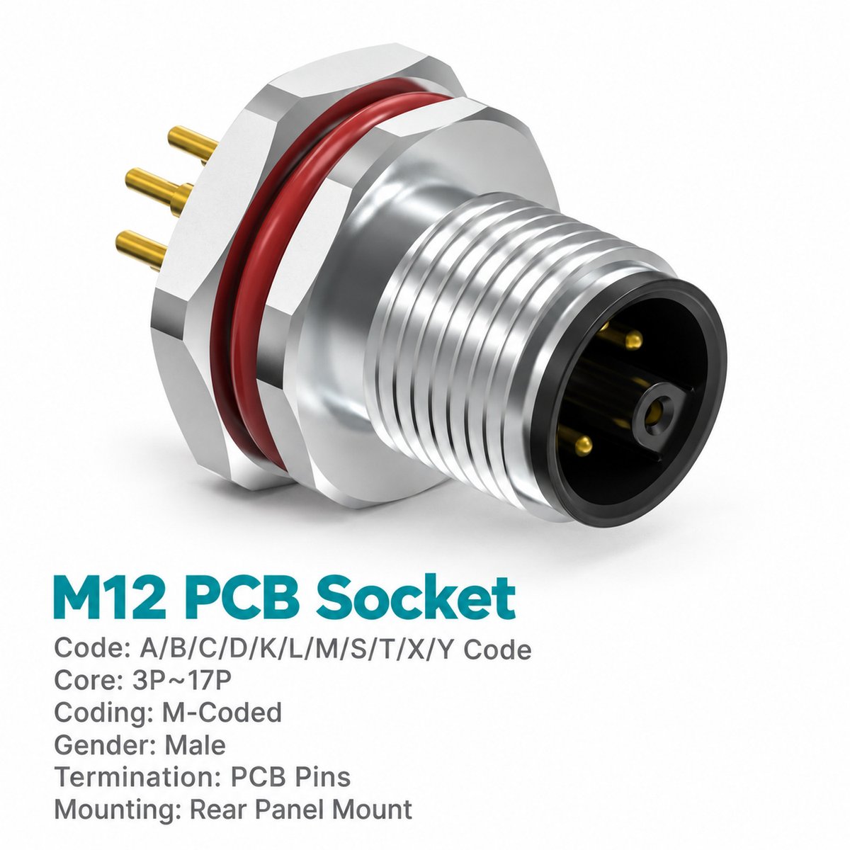 M12 M-Coded Male Rear Mount PCB Power Connector, 8A 630V AC, 3–6 Pin M12 M-Coded Male Rear Mount PCB Power Connector, 8A 630V AC, 3–6 Pin - Image 3