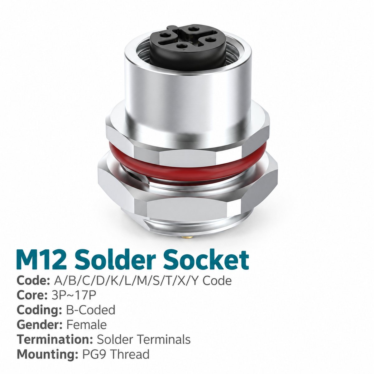 M12 B-Coded Female Rear Mount Socket, Solder, Unwired or Pre-Wired M12 B-Coded Female Rear Mount Socket, Solder, Unwired or Pre-Wired