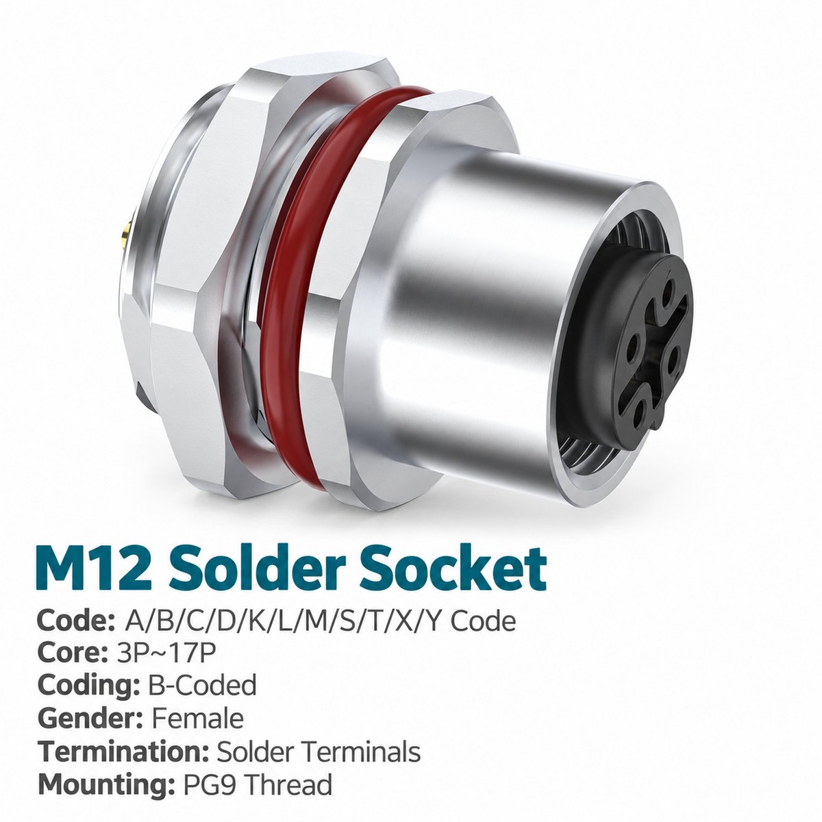 M12 B-Coded Female Rear Mount Socket, Solder, Unwired or Pre-Wired M12 B-Coded Female Rear Mount Socket, Solder, Unwired or Pre-Wired - Image 3