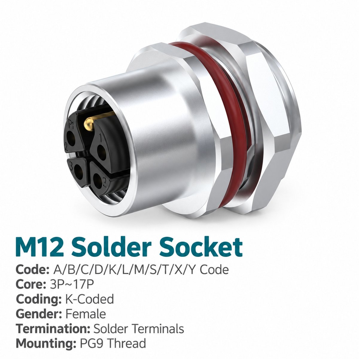 M12 K-Coded Female Rear Mount Power Socket, Solder or Crimp M12 K-Coded Female Rear Mount Power Socket, Solder or Crimp - Image 2