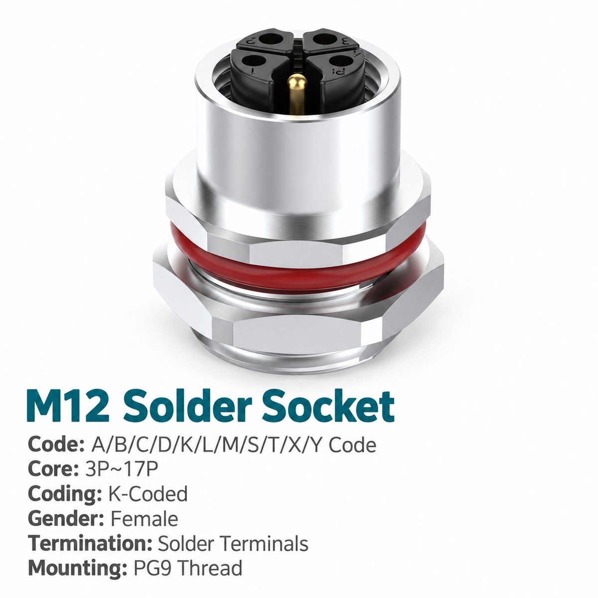 M12 K-Coded Female Rear Mount Power Socket, Solder or Crimp M12 K-Coded Female Rear Mount Power Socket, Solder or Crimp