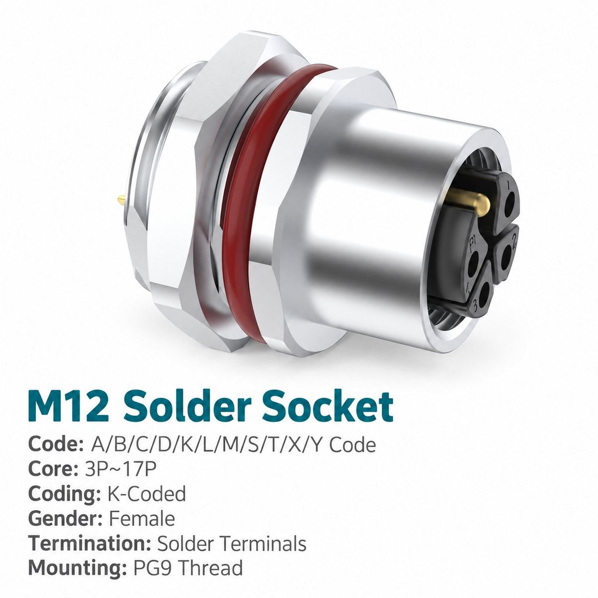 M12 K-Coded Female Rear Mount Power Socket, Solder or Crimp M12 K-Coded Female Rear Mount Power Socket, Solder or Crimp - Image 3