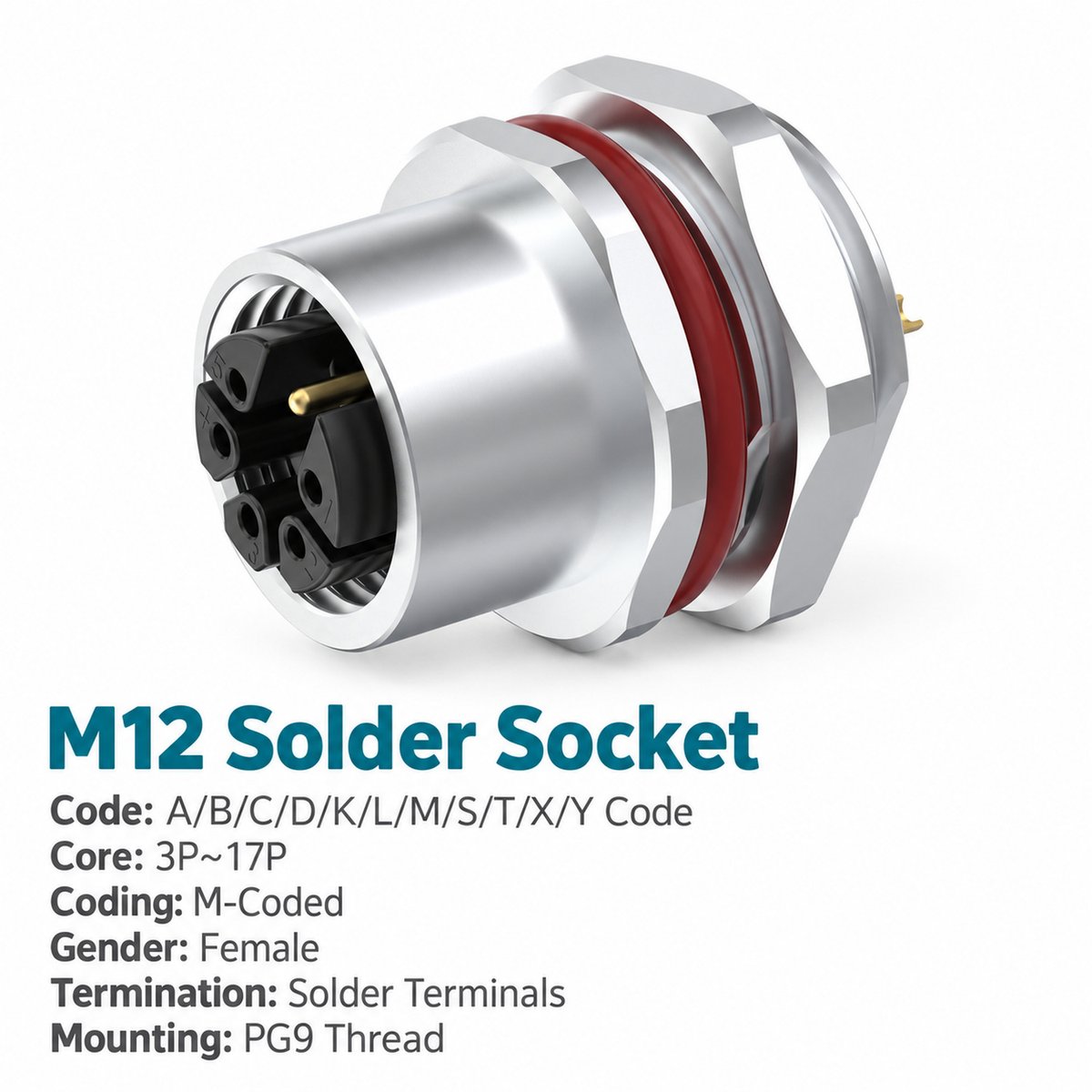 M12 M-Coded Female Rear Mount AC Power Socket, Solder, Unwired or Pre-Wired M12 M-Coded Female Rear Mount AC Power Socket, Solder, Unwired or Pre-Wired - Image 2