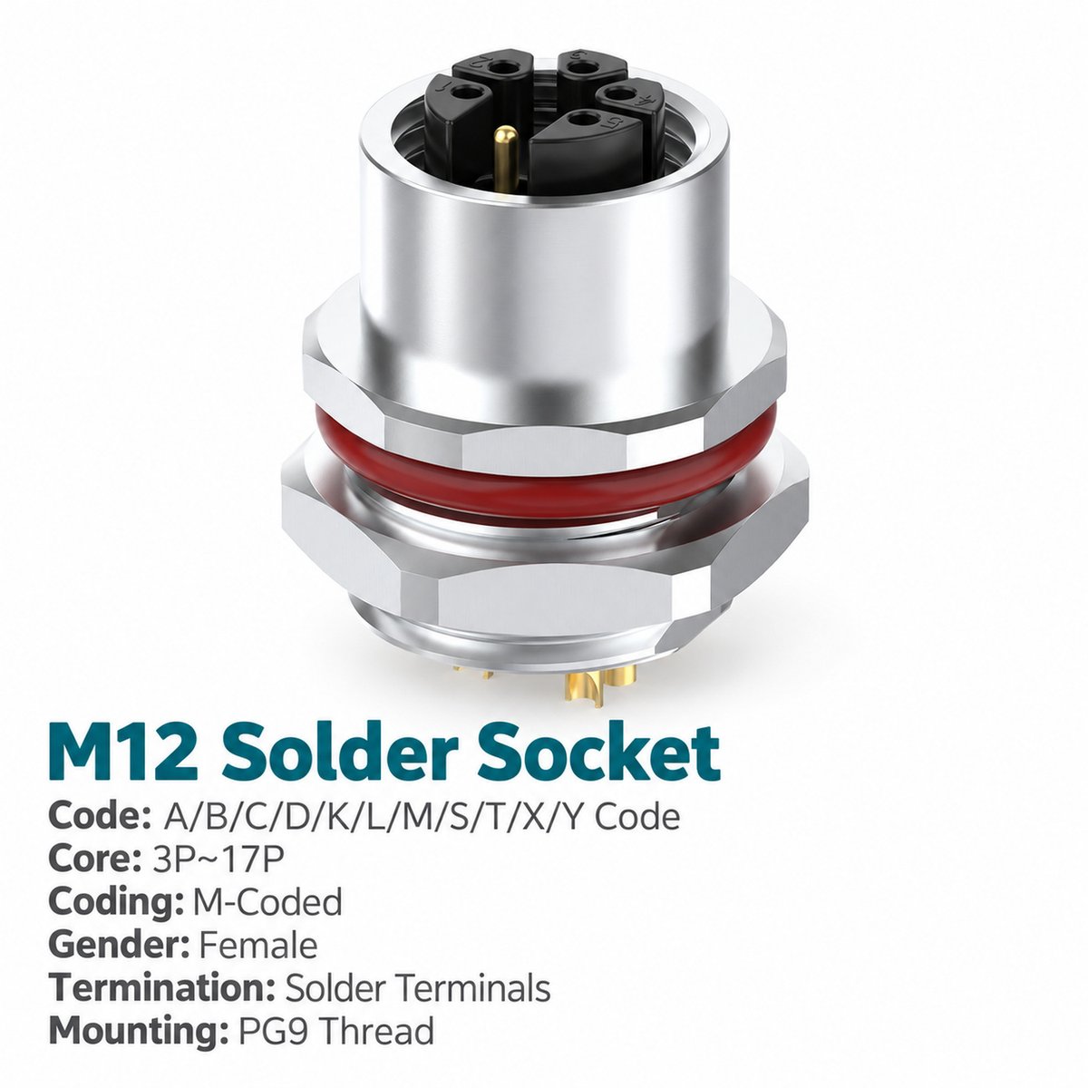 M12 M-Coded Female Rear Mount AC Power Socket, Solder, Unwired or Pre-Wired M12 M-Coded Female Rear Mount AC Power Socket, Solder, Unwired or Pre-Wired