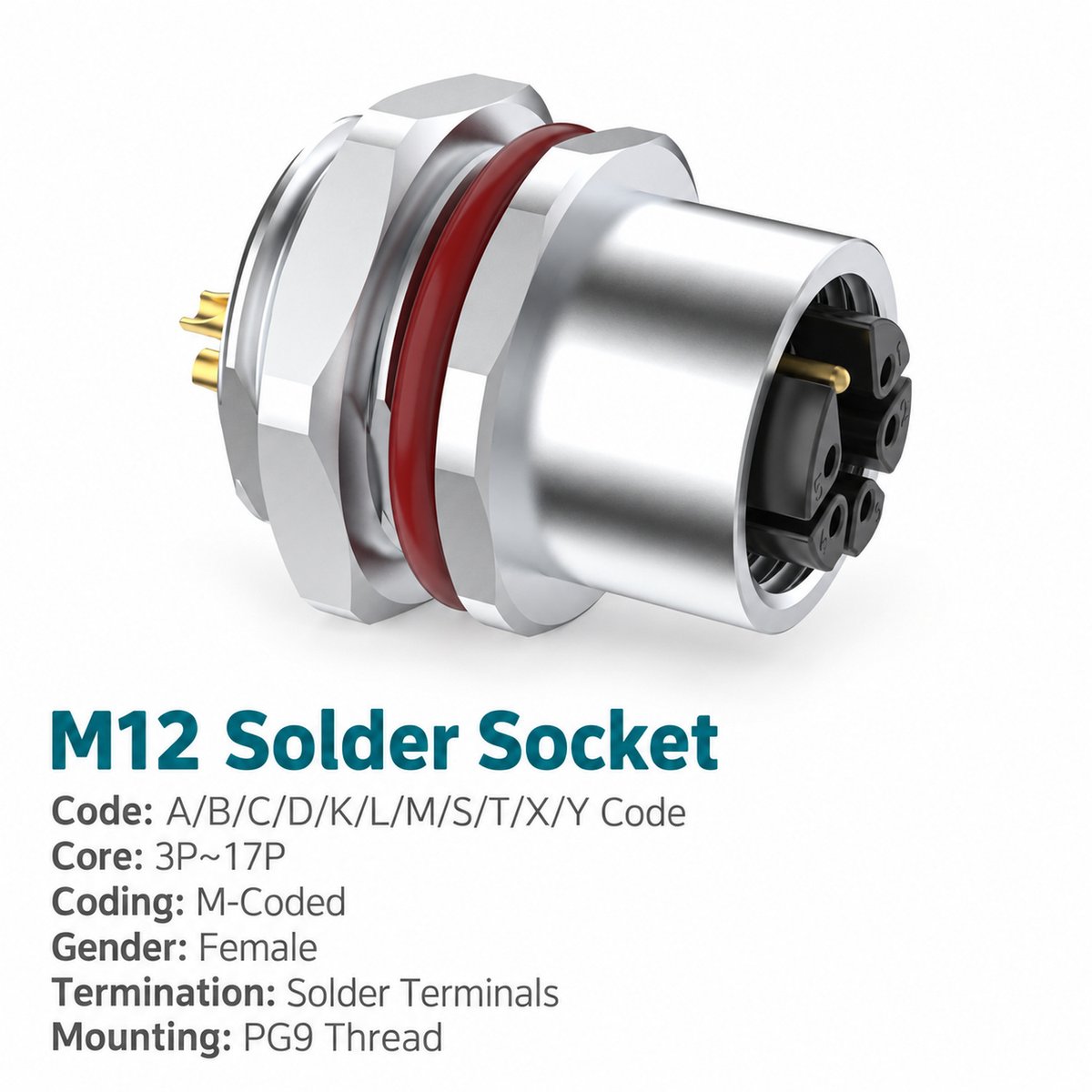 M12 M-Coded Female Rear Mount AC Power Socket, Solder, Unwired or Pre-Wired M12 M-Coded Female Rear Mount AC Power Socket, Solder, Unwired or Pre-Wired - Image 3