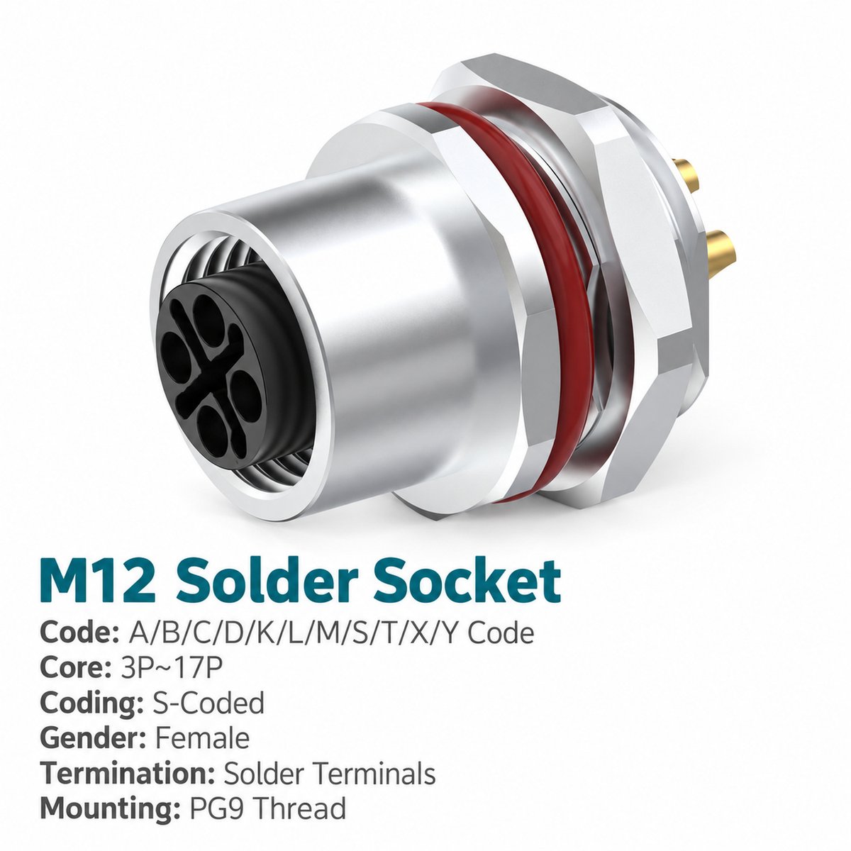 M12 S-Coded Female Rear Mount AC Power Socket, Solder or Crimp M12 S-Coded Female Rear Mount AC Power Socket, Solder or Crimp - Image 2