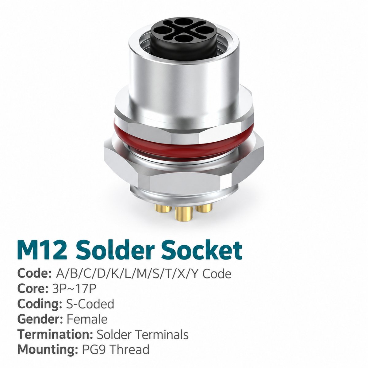 M12 S-Coded Female Rear Mount AC Power Socket, Solder or Crimp M12 S-Coded Female Rear Mount AC Power Socket, Solder or Crimp