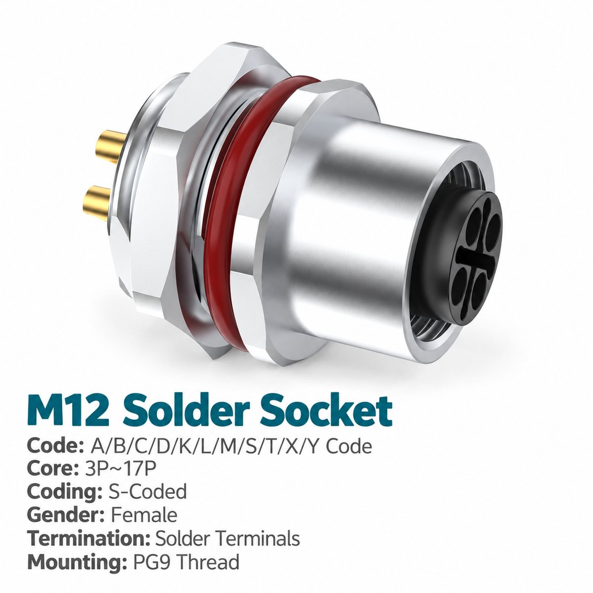 M12 S-Coded Female Rear Mount AC Power Socket, Solder or Crimp M12 S-Coded Female Rear Mount AC Power Socket, Solder or Crimp - Image 3