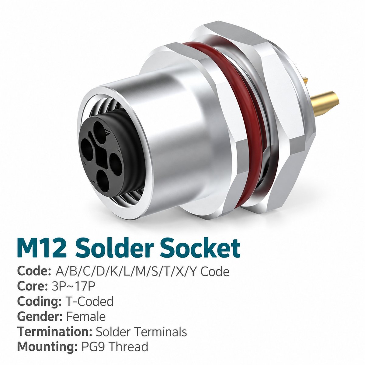 M12 T-Coded Female Rear Mount DC Power Socket, Solder or Crimp M12 T-Coded Female Rear Mount DC Power Socket, Solder or Crimp - Image 2