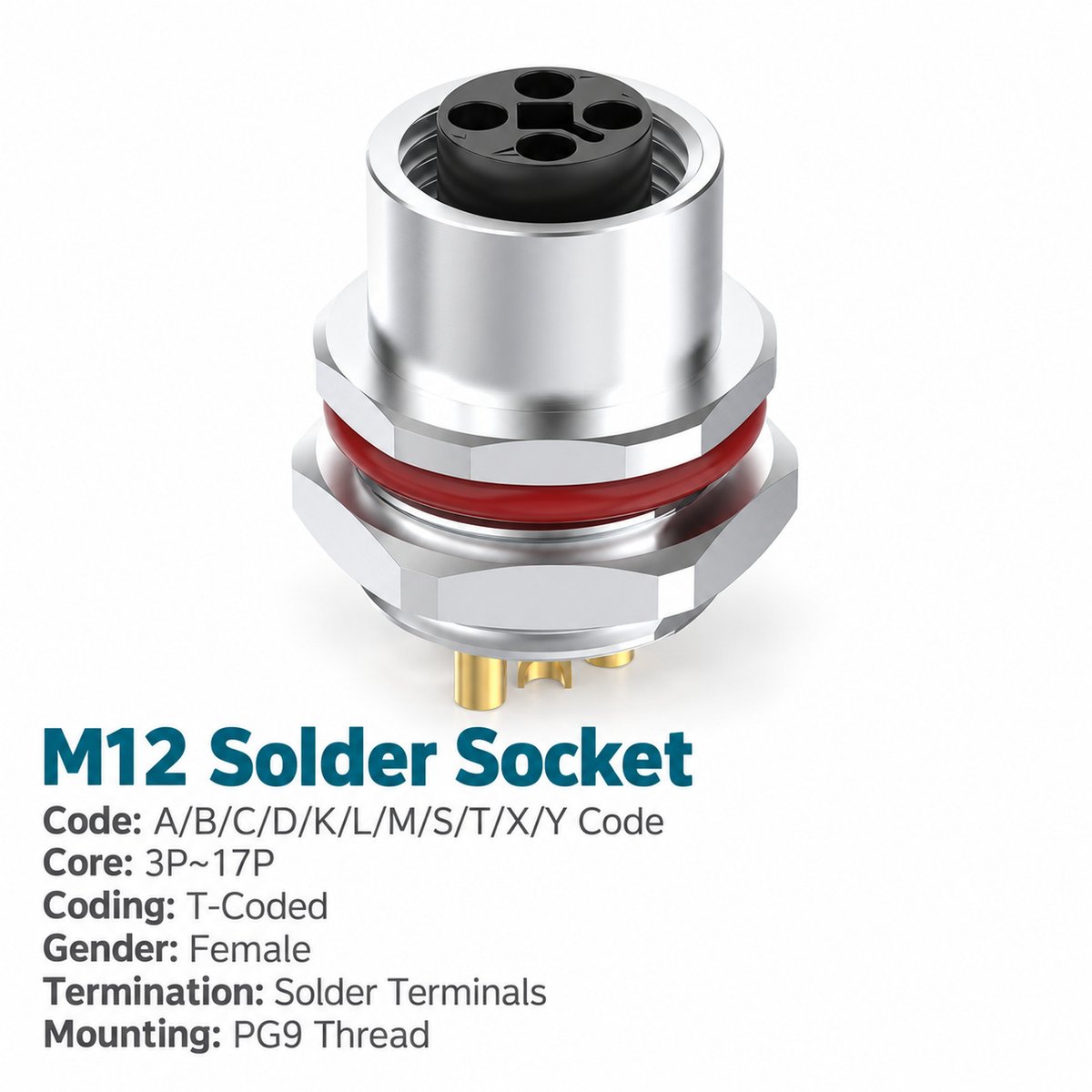 M12 T-Coded Female Rear Mount DC Power Socket, Solder or Crimp M12 T-Coded Female Rear Mount DC Power Socket, Solder or Crimp