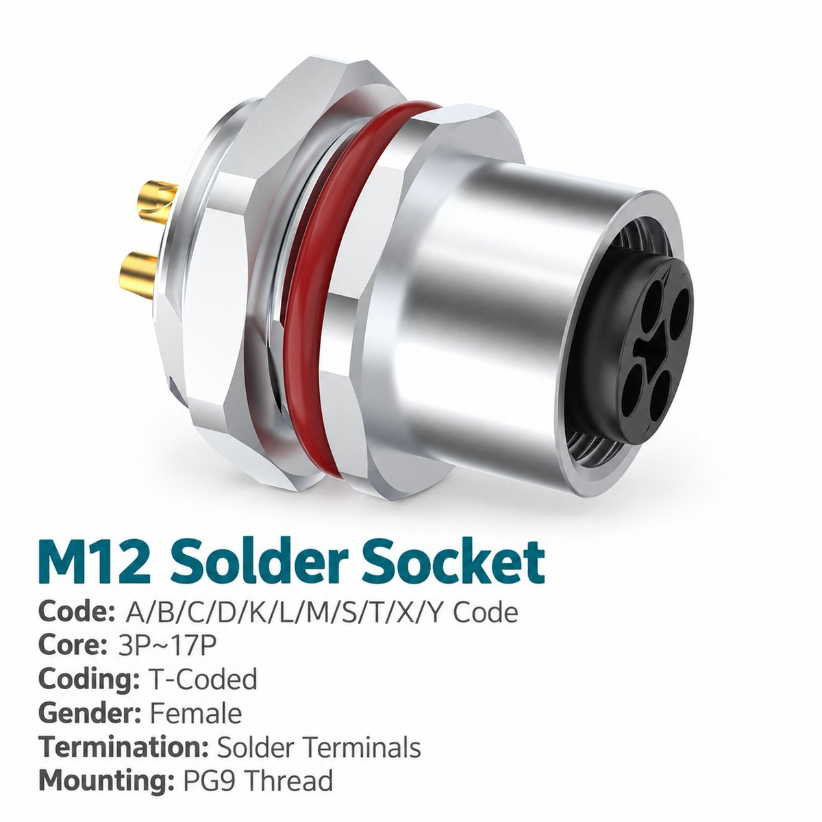 M12 T-Coded Female Rear Mount DC Power Socket, Solder or Crimp M12 T-Coded Female Rear Mount DC Power Socket, Solder or Crimp - Image 3