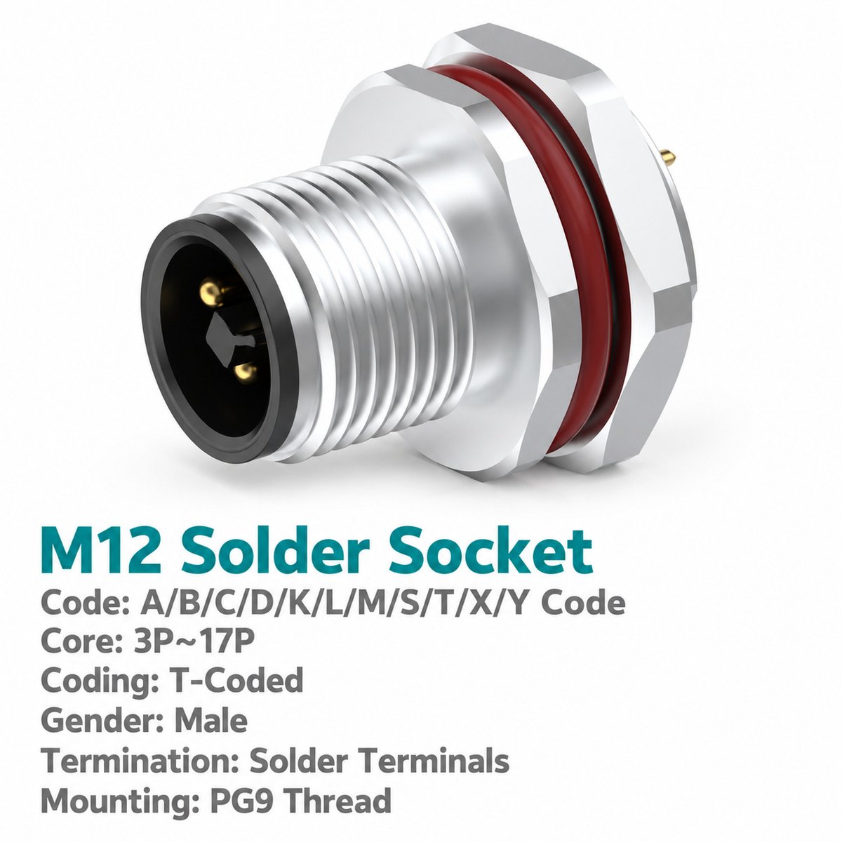 M12 T-Coded Male Rear Mount Socket, Solder or Crimp, Unwired or Pre-Wired M12 T-Coded Male Rear Mount Socket, Solder or Crimp, Unwired or Pre-Wired - Image 2