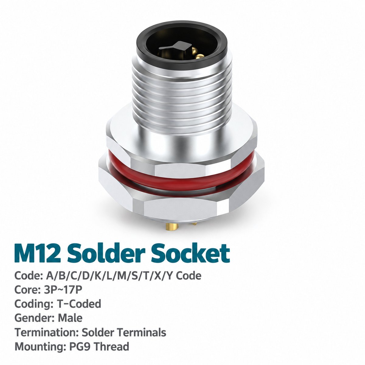 M12 T-Coded Male Rear Mount Socket, Solder or Crimp, Unwired or Pre-Wired M12 T-Coded Male Rear Mount Socket, Solder or Crimp, Unwired or Pre-Wired