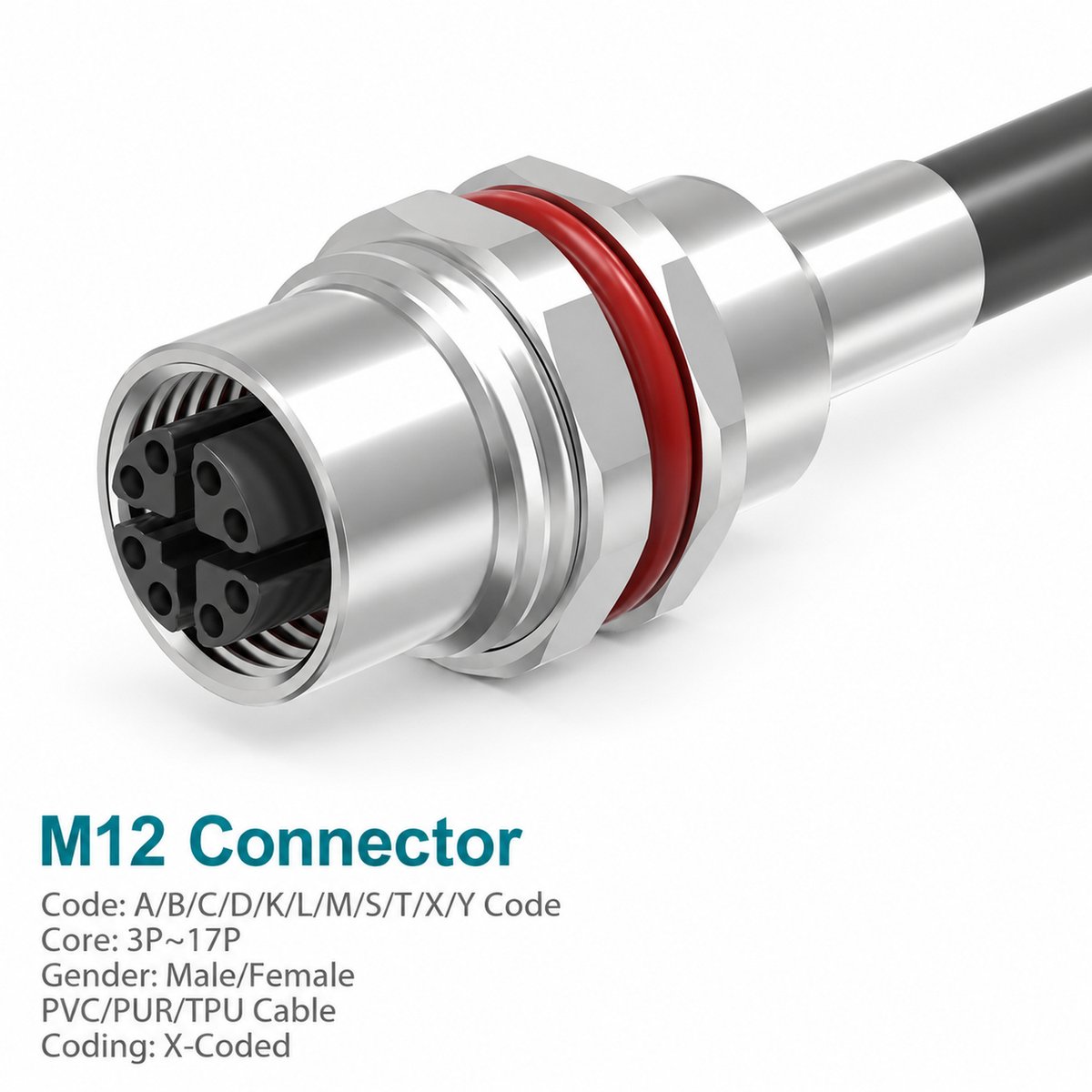 M12 X-Coded Female Metal Panel-Mount CAT6A Shielded Cable Receptacle M12 X-Coded Female Metal Panel-Mount CAT6A Shielded Cable Receptacle - Image 2