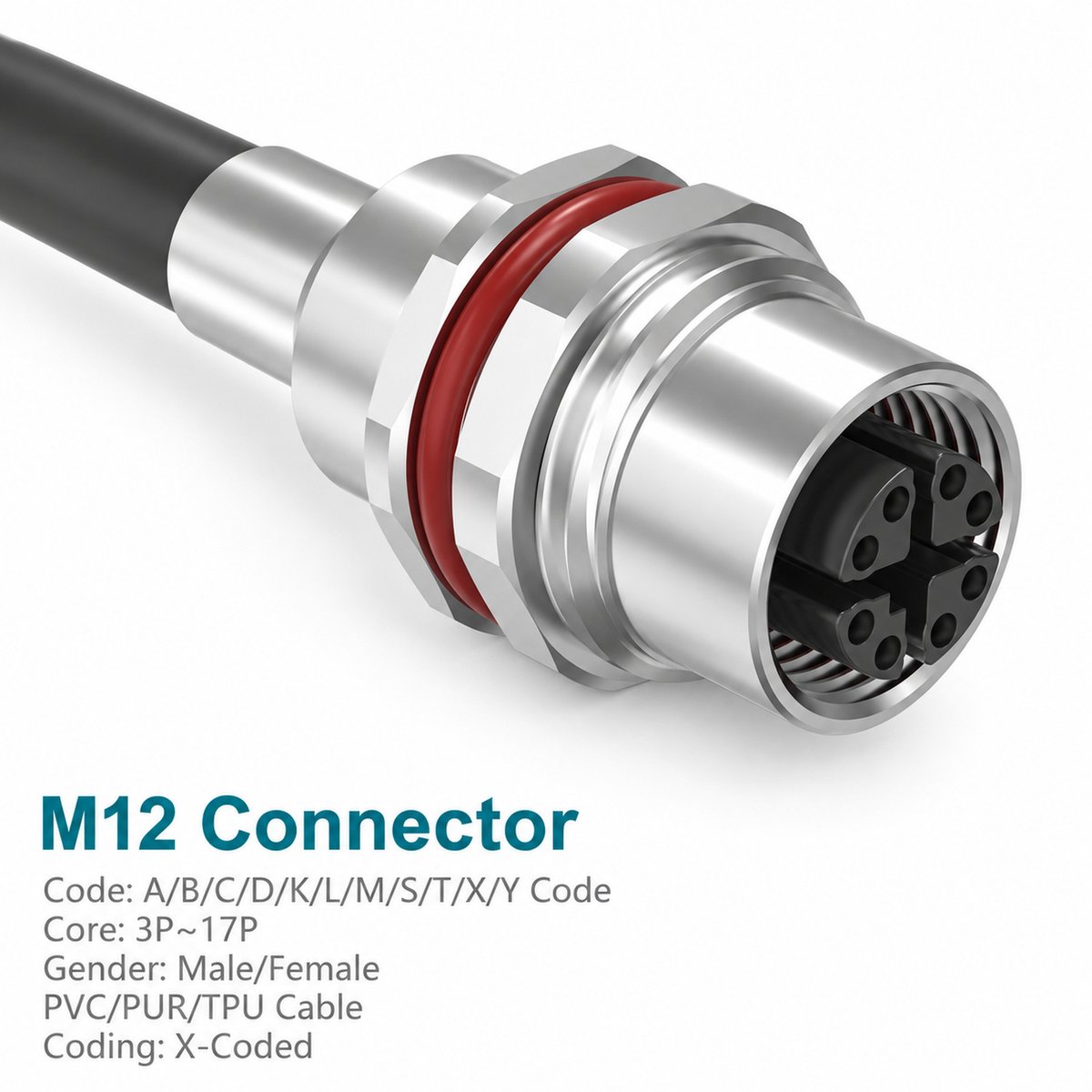 M12 X-Coded Female Metal Panel-Mount CAT6A Shielded Cable Receptacle M12 X-Coded Female Metal Panel-Mount CAT6A Shielded Cable Receptacle - Image 3