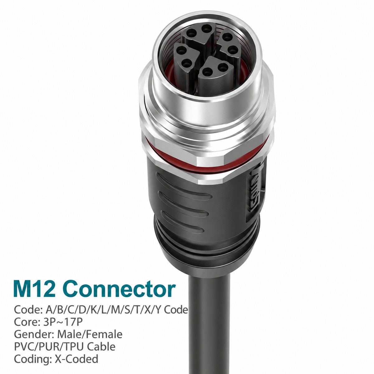 M12 X-Coded Female Molded Panel-Mount CAT6A Shielded Ethernet Connector M12 X-Coded Female Molded Panel-Mount CAT6A Shielded Ethernet Connector