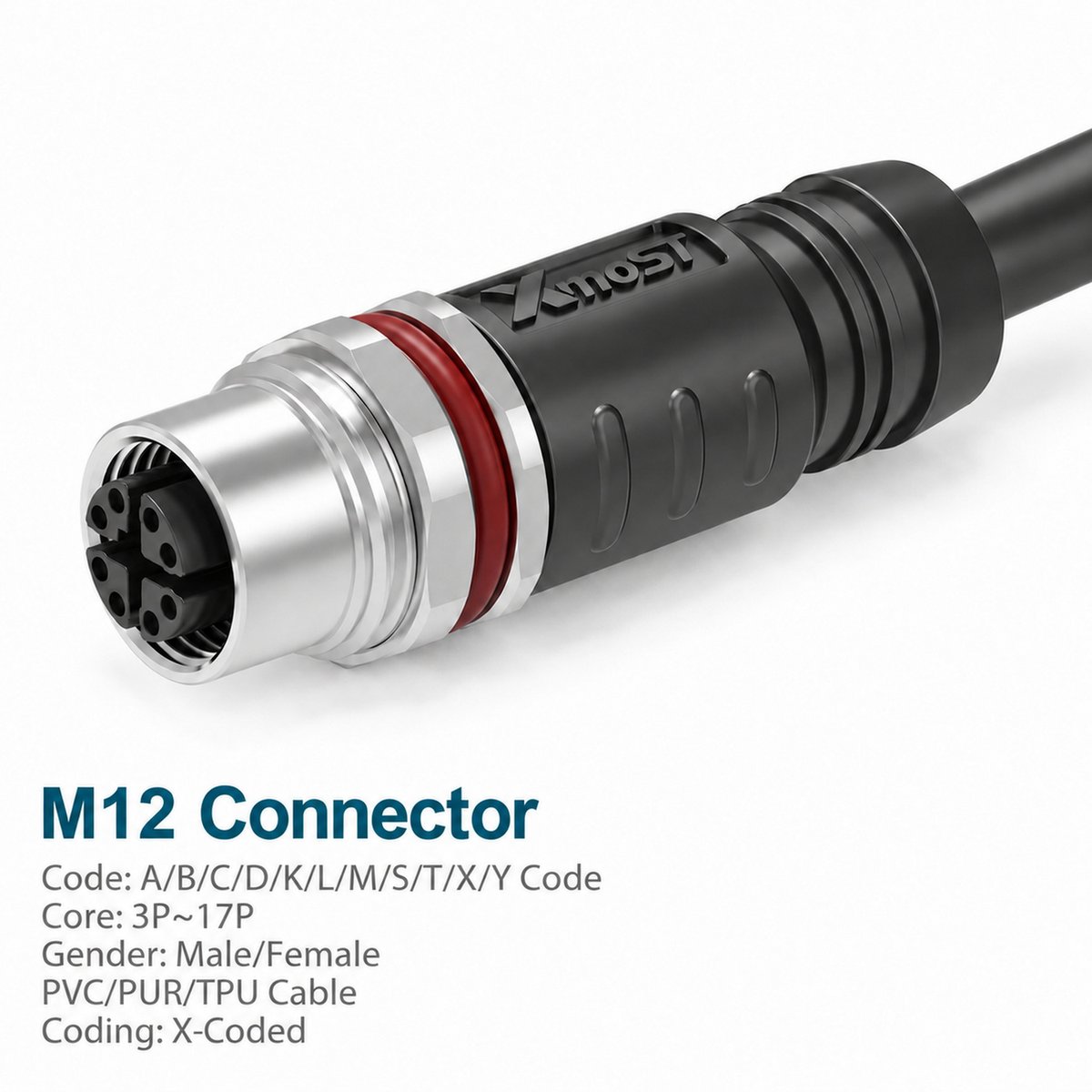 M12 X-Coded Female Molded Panel-Mount CAT6A Shielded Ethernet Connector M12 X-Coded Female Molded Panel-Mount CAT6A Shielded Ethernet Connector - Image 2