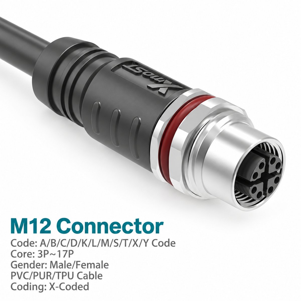 M12 X-Coded Female Molded Panel-Mount CAT6A Shielded Ethernet Connector M12 X-Coded Female Molded Panel-Mount CAT6A Shielded Ethernet Connector - Image 3