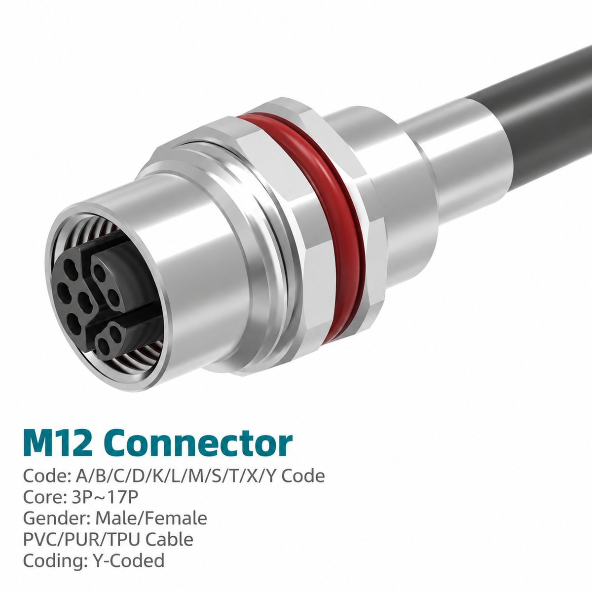 M12 Y-Coded Female Metal Panel-Mount CAT5e Shielded Hybrid Ethernet Receptacle M12 Y-Coded Female Metal Panel-Mount CAT5e Shielded Hybrid Ethernet Receptacle - Image 2