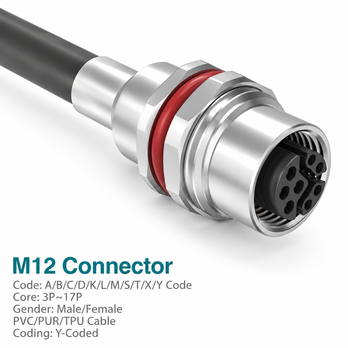 M12 Y-Coded Female Metal Panel-Mount CAT5e Shielded Hybrid Ethernet Receptacle M12 Y-Coded Female Metal Panel-Mount CAT5e Shielded Hybrid Ethernet Receptacle - Image 3
