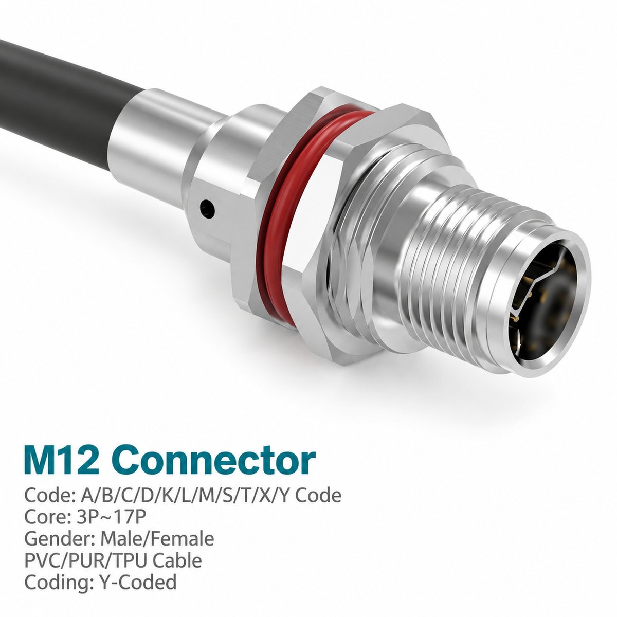 M12 Y-Coded Male Metal Panel-Mount CAT5e Shielded Hybrid Ethernet Receptacle M12 Y-Coded Male Metal Panel-Mount CAT5e Shielded Hybrid Ethernet Receptacle - Image 2