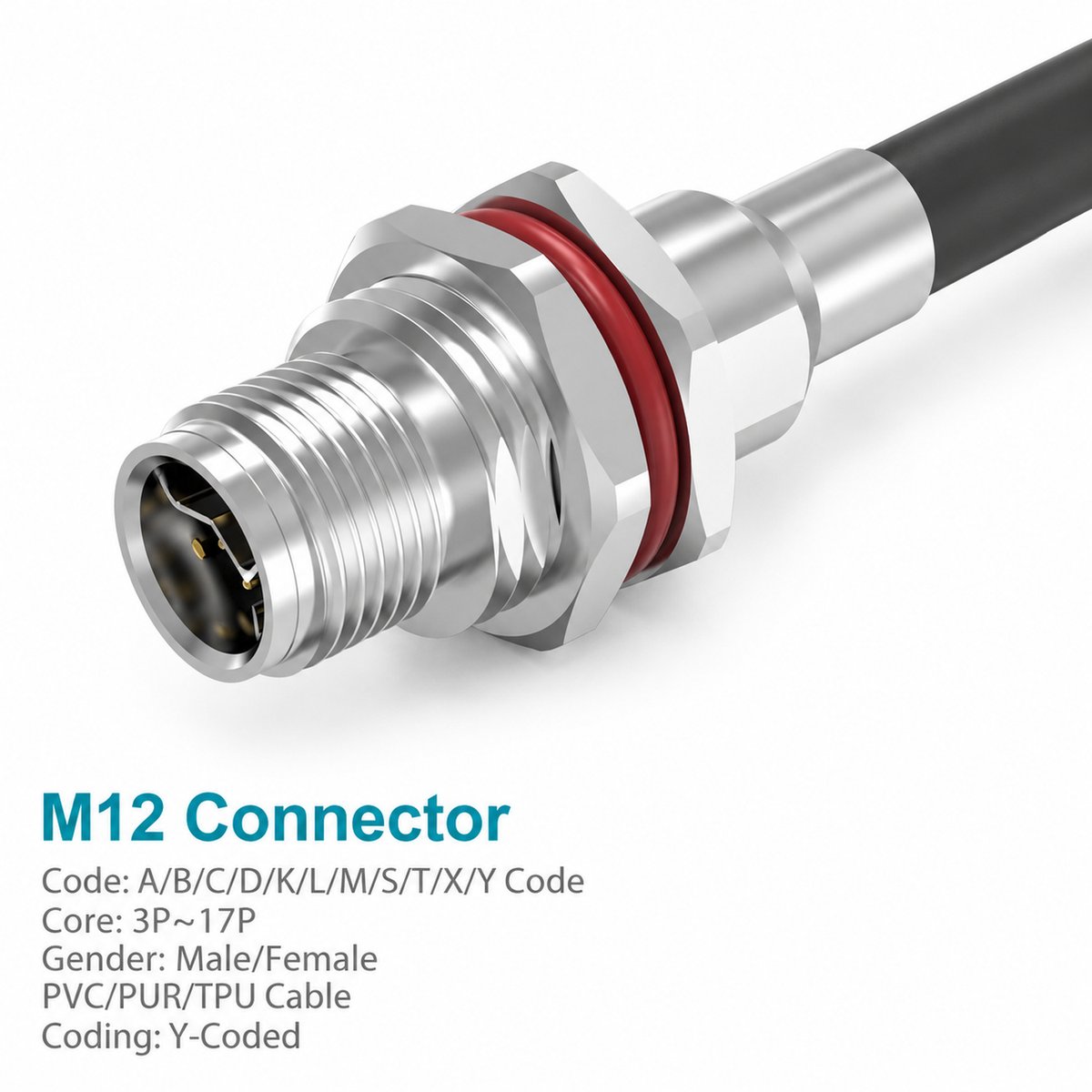 M12 Y-Coded Male Metal Panel-Mount CAT5e Shielded Hybrid Ethernet Receptacle M12 Y-Coded Male Metal Panel-Mount CAT5e Shielded Hybrid Ethernet Receptacle - Image 3
