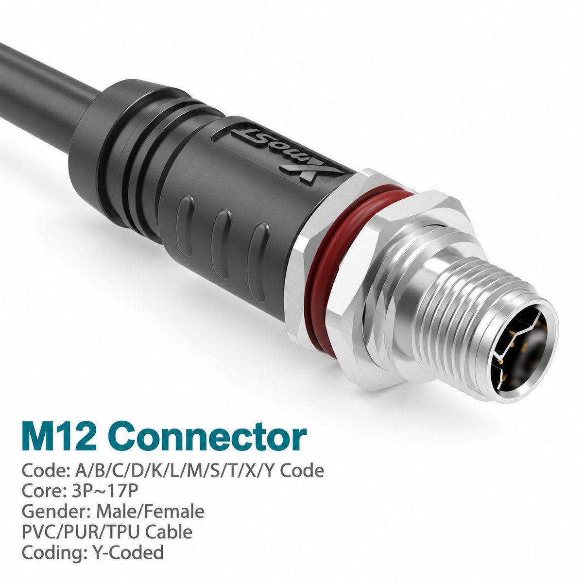 M12 Y-Coded Male Panel-Mount CAT5e Shielded Hybrid Ethernet Connector M12 Y-Coded Male Panel-Mount CAT5e Shielded Hybrid Ethernet Connector - Image 3